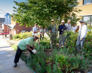 Master Gardeners working in the demo garden