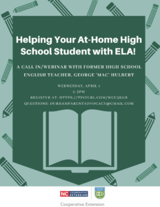 Cover photo for Helping Your At-Home High School Student With ELA