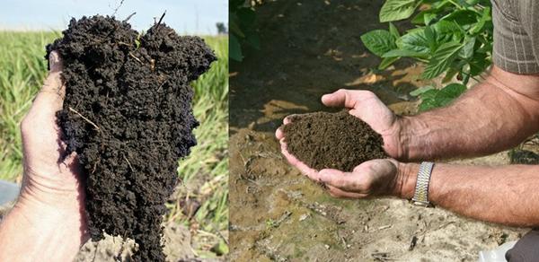 granular soil structure 