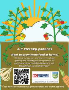 Cover photo for Victory Garden Program Receives Grant to Expand