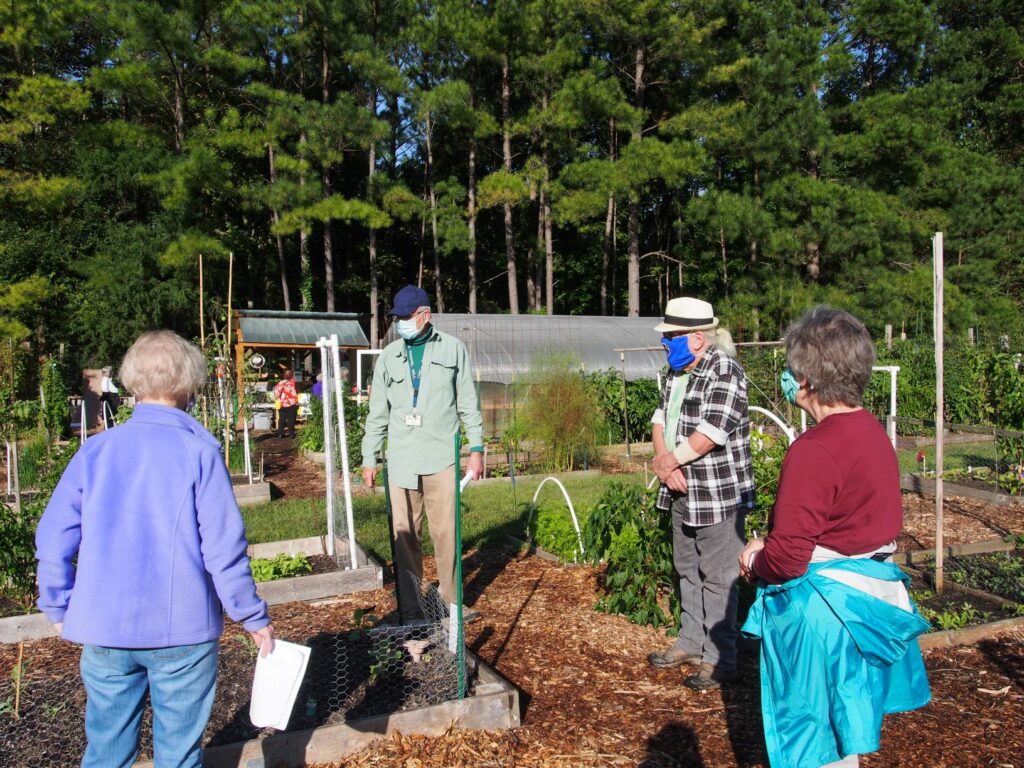 Volunteers in garden