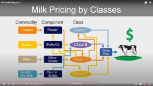 Cover photo for New Animations on Milk Marketing and Pricing