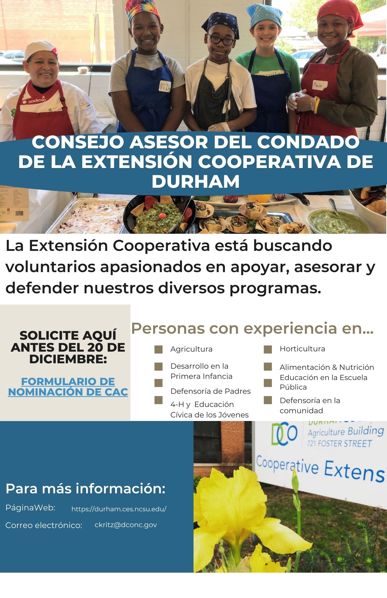 advisory board flyer in Spanish