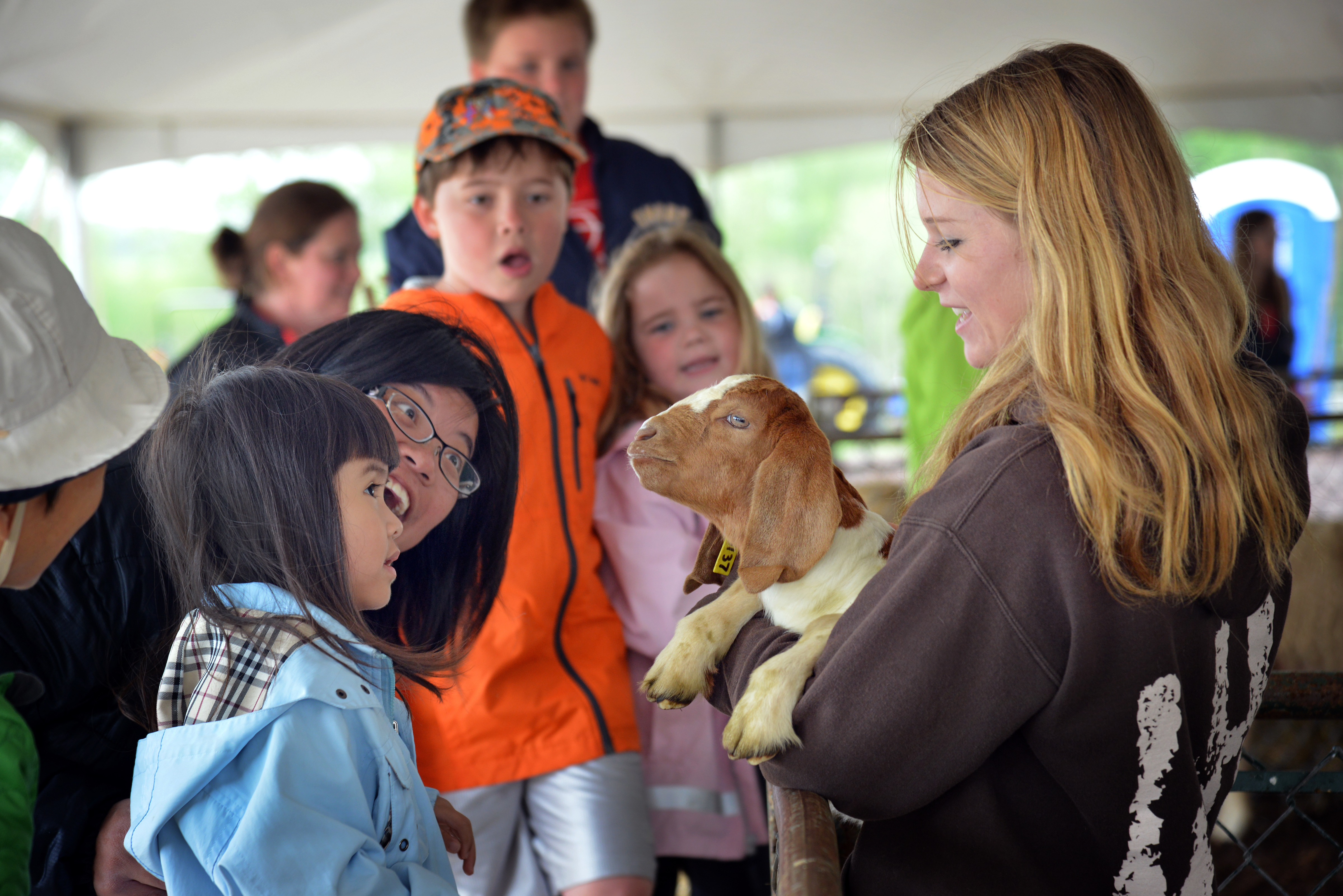 Dairy goat held by woman at CALS farm day