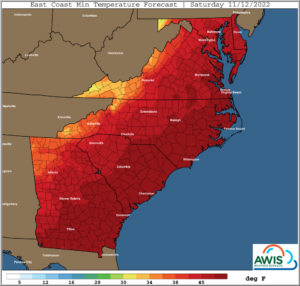 Cover photo for Time to Cover a Late Planting: Colder Temperatures Ahead