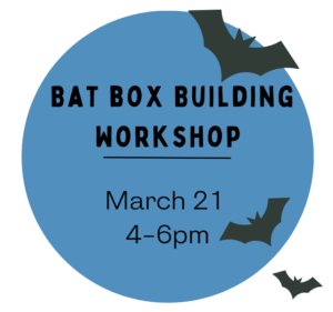 Cover photo for Bat Box Building Workshop