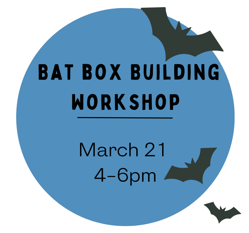 Bat Box Building Workshop, March 21, 4-6 p.m.