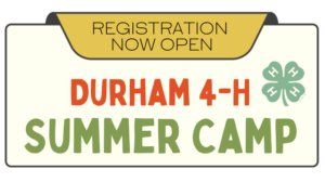 Cover photo for Durham 4-H Summer Camp