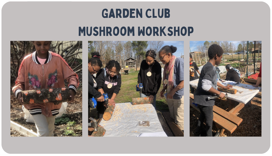 Garden Club Mushroom Workshop.