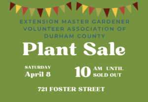 Cover photo for Annual Master Gardener Association Plant Sale  - April 8