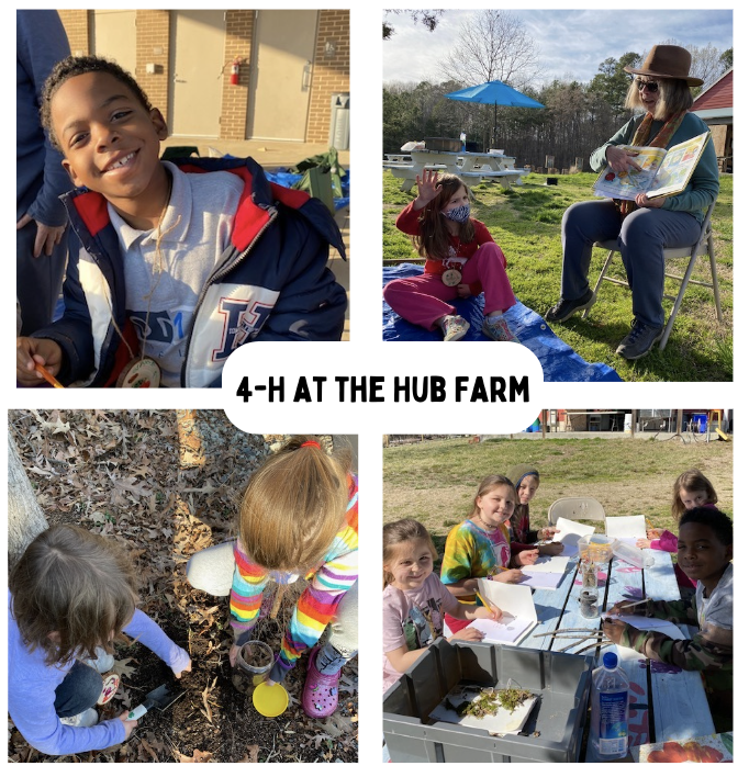 4-H At the Hub Farm