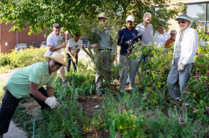 Cover photo for Extension Master Gardeners of Durham County Information Sessions for 2025 Training