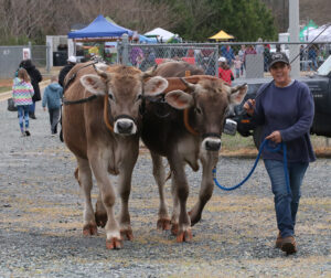 Cover photo for Plan for Fun at Our 2025 Chatham County Spring Ag Fest!