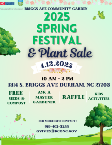 Briggs Spring Festival Flyer, SAturday April 12th 10 am - 2 pm