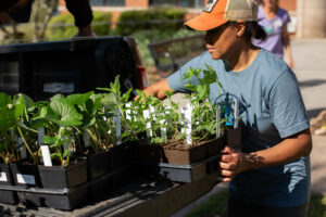 Cover photo for Master Gardener Plant Sale - Saturday, April 5